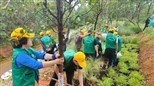 共青團云南省委直屬機關工會開展2024年“履行植樹義務 共建美麗中國”義務植樹活動